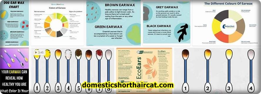 Dog-Ear-Wax-Color-Chart Dog Ear Wax Color Chart - Ear Infection Drainage  