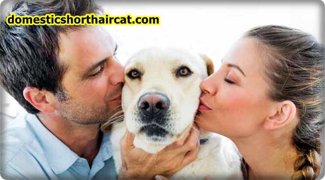 pros and cons of being a guardian dog owner