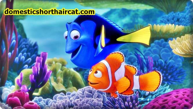fish-from-finding-nemo Fish From Finding Nemo  